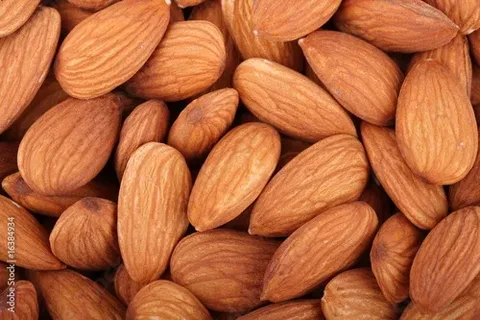تصویر 3 از قیمت خرید بادام درختی طبایع با فروش عمده